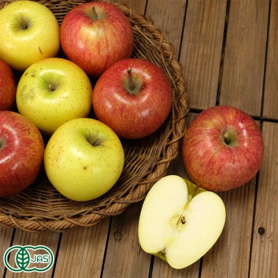 【クール便・小玉・家庭用】有機りんご 2色セット 2.5kg 有機JAS (青森県 北上農園)