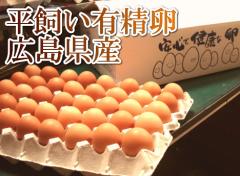 【ポイント2倍】平飼い有精卵　40個(広島県　はやしなちゅらるふぁーむ)送料無料・産地直送・健康たまご