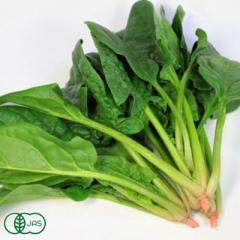 有機 ほうれん草 1.5kg(150g×10袋) 有機JAS (青森県 自然食ねっと青森) 産地直送