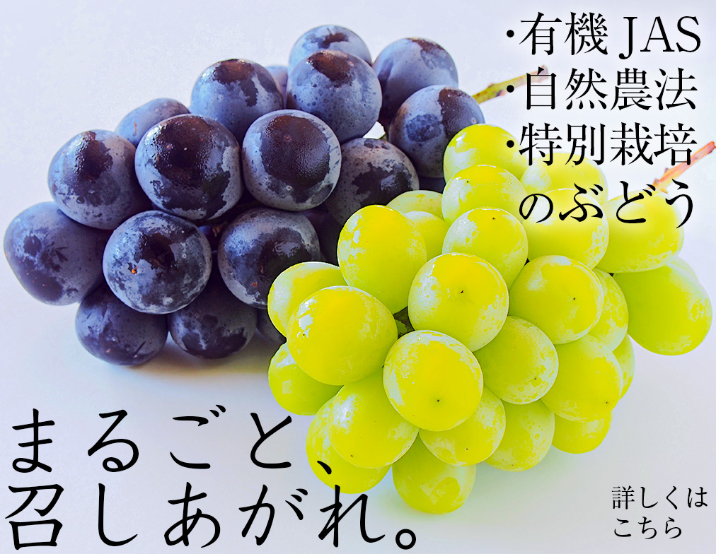 無農薬・自然農法・有機農産物などの産直通販 ふるさと21