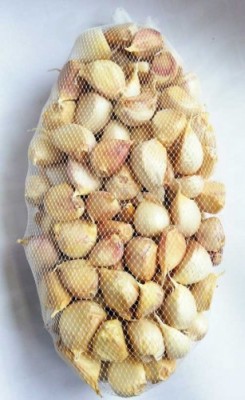 【セール・バラ詰め】有機田子にんにく 2kg 有機JAS・自然農法 (青森県 やまもと農産) 産地直送