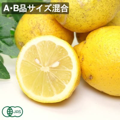 【期間限定特別価格!A・Bサイズ混合】 有機 レモン(リスボン) 3kg 有機JAS  (神奈川県 山下農園) 産地直送