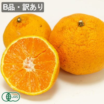 【B品・訳あり】有機 不知火(シラヌイ) 5kg 有機JAS (佐賀県 佐藤農場) 産地直送 デコポン