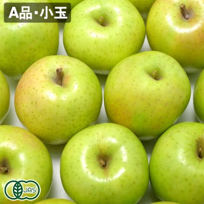 【小玉・A品】有機 王林 2.5kg 有機JAS  (青森県 北上農園) りんご