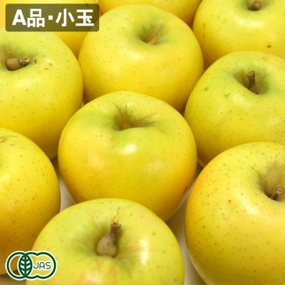 【小玉・A品】有機 シナノゴールド 2.5kg 有機JAS (青森県 北上農園) りんご