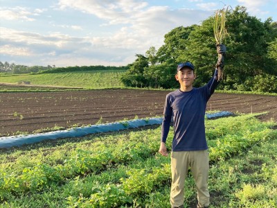 乾燥にんにく 2kg 農薬・化学肥料不使用　(青森県 Ryosuke Oyasai) 産地直送