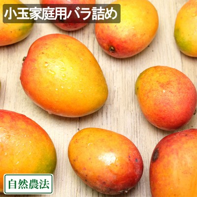 【ポイント2倍・クール便】アーウィン小玉家庭用(ミニマンゴー) バラ詰め 約1.8kg 自然農法 (沖縄県 沖縄マンゴー生産研究会) 産地直送