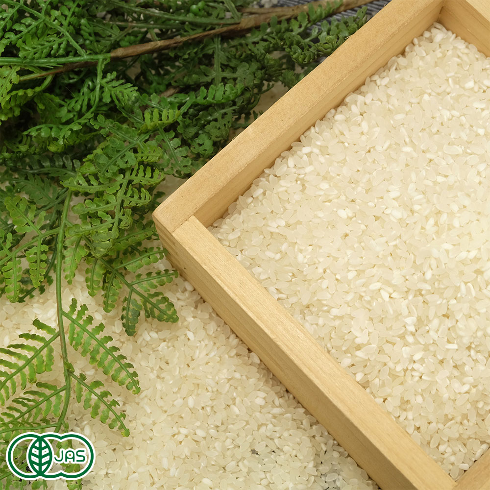 20kg　コシヒカリ　玄米