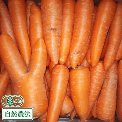 【S~2Sサイズ】有機 にんじん (洗い) 10kg 有機JAS・自然農法 (青森県 南風農園) 産地直送