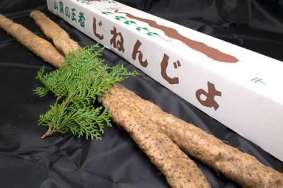 有機 自然薯 贈答用 約1.2kg(1〜3本) 有機JAS (熊本県 那須自然農園) 産地直送